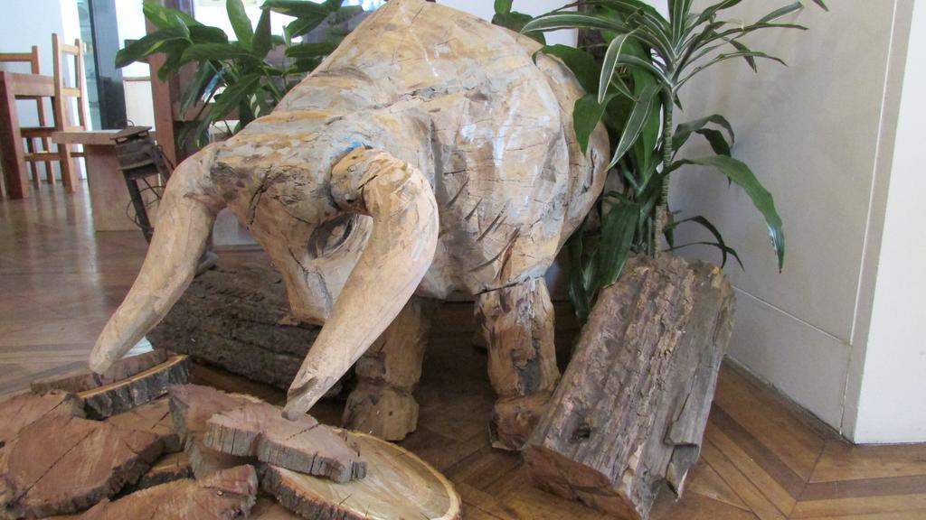 Hostal Caracol Сантьяго Экстерьер фото
